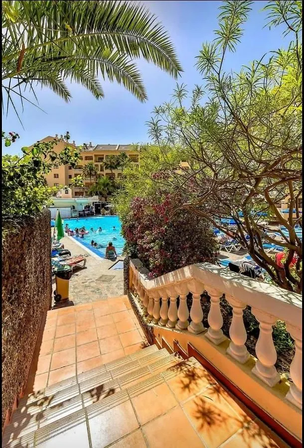 Estudio Los Cristianos España